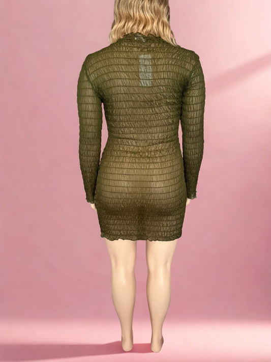 Pagani Mesh Shirred LS dress (14-18)