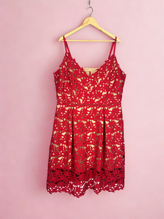 City Chic midi dress (22)